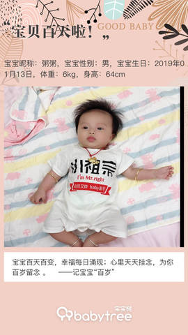 journal_insert_pic_1221152554