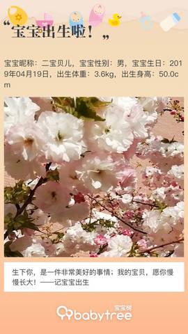 journal_insert_pic_1222166498