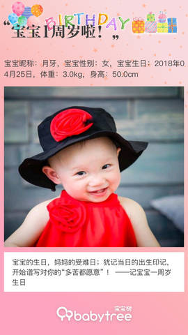 journal_insert_pic_1222314876