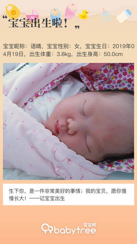 journal_insert_pic_1222650878
