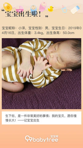 journal_insert_pic_1222532426
