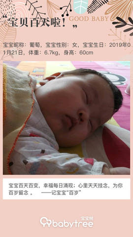 journal_insert_pic_1223166863