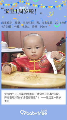 journal_insert_pic_1223337932