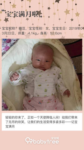 journal_insert_pic_1223570378