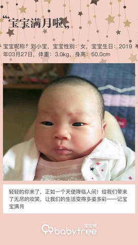 journal_insert_pic_1223374055