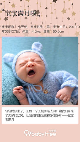 journal_insert_pic_1223659945