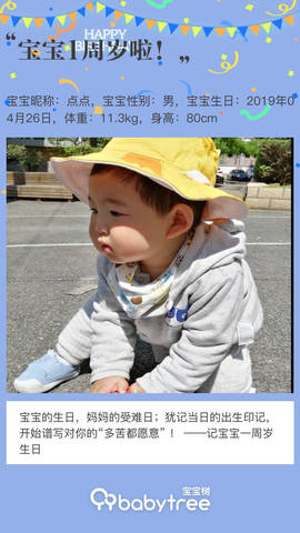 journal_insert_pic_1224068840