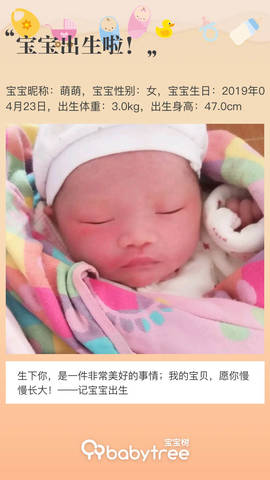 journal_insert_pic_1224210846