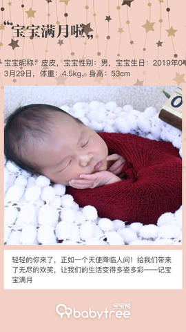 journal_insert_pic_1224427985