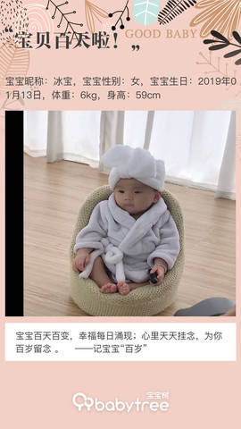 journal_insert_pic_1224501784