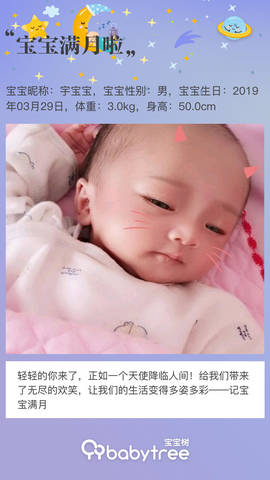 journal_insert_pic_1224351228