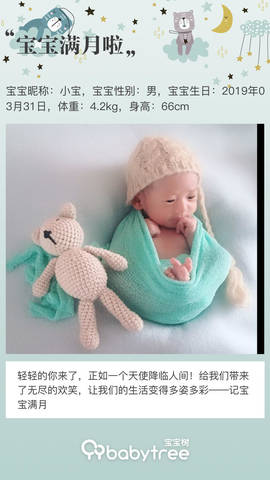 journal_insert_pic_1225121708