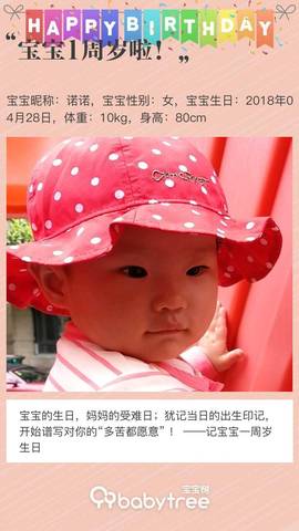 journal_insert_pic_1225318787