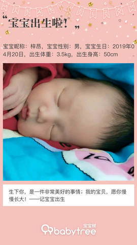journal_insert_pic_1225154217