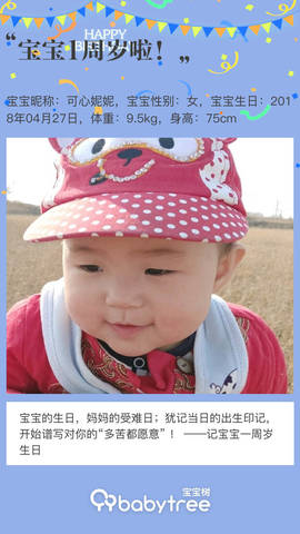 journal_insert_pic_1226102434