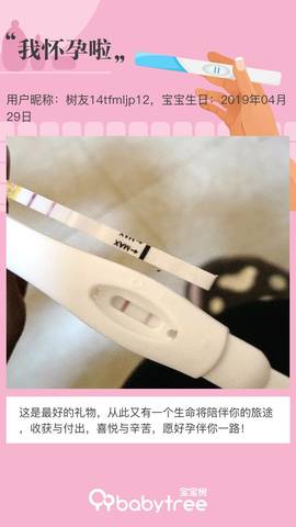 journal_insert_pic_1226036198