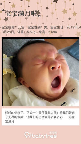 journal_insert_pic_1226350780