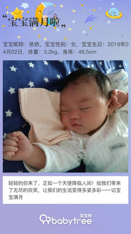 journal_insert_pic_1226581037