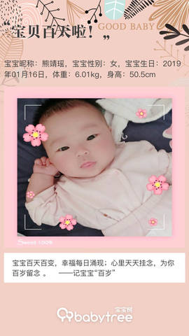journal_insert_pic_1226193913