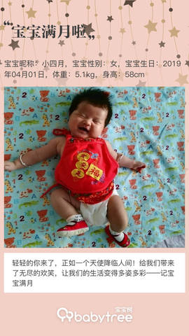 journal_insert_pic_1226646285