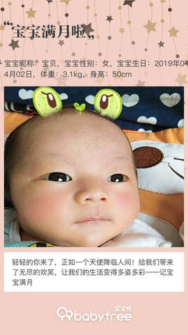 journal_insert_pic_1226800708