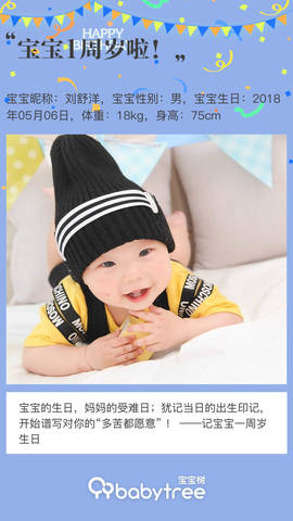 journal_insert_pic_1226819429