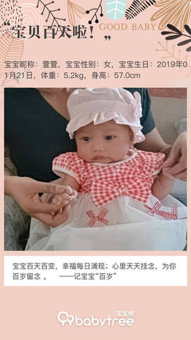 journal_insert_pic_1226746843