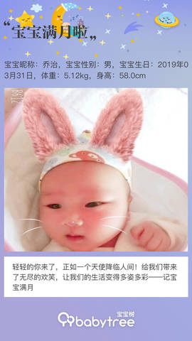 journal_insert_pic_1227441673
