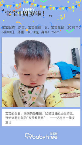 journal_insert_pic_1228533406