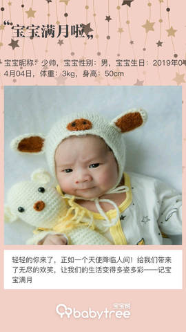 journal_insert_pic_1228194863
