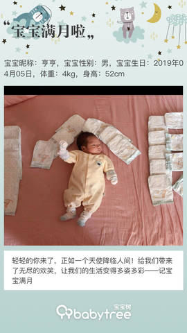 journal_insert_pic_1228765860