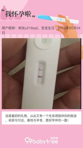 journal_insert_pic_1229284586