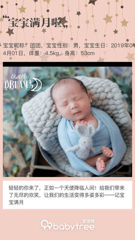 journal_insert_pic_1230083811
