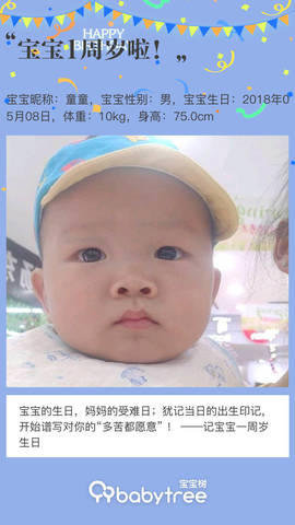 journal_insert_pic_1229865559