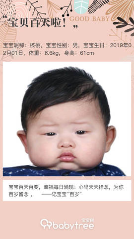 journal_insert_pic_1230684515