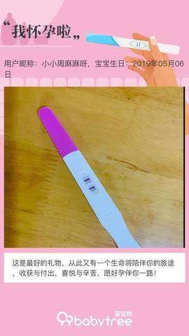 journal_insert_pic_1230883695