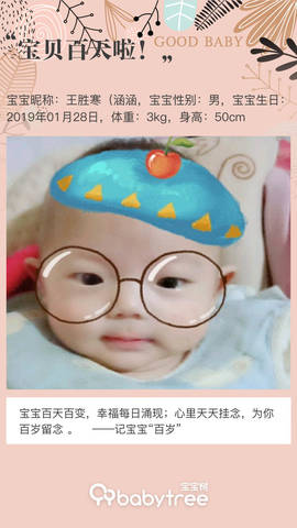 journal_insert_pic_1230711743