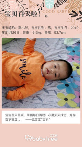 journal_insert_pic_1230449413