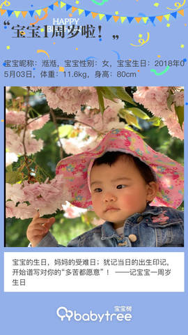 journal_insert_pic_1230377835