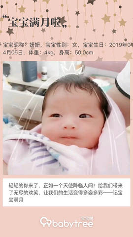 journal_insert_pic_1230760031