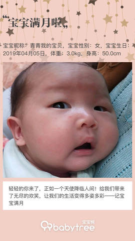 journal_insert_pic_1231032768