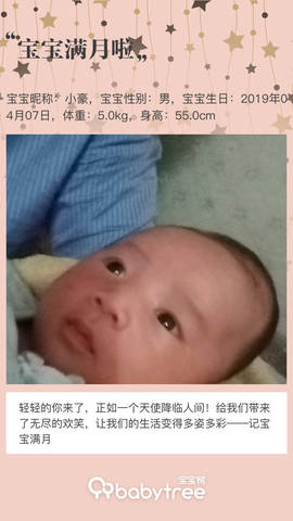 journal_insert_pic_1231582465