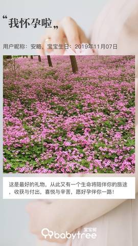 journal_insert_pic_1232150633
