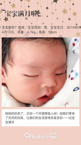 journal_insert_pic_1232159429