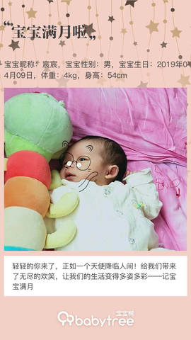 journal_insert_pic_1232262436