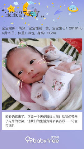 journal_insert_pic_1232725369