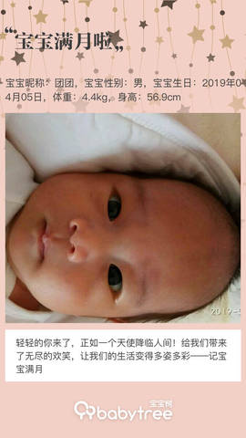 journal_insert_pic_1232490059