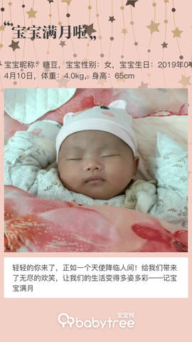 journal_insert_pic_1232304733