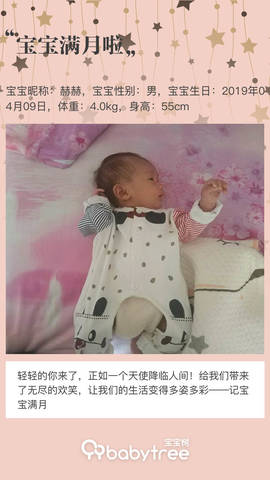 journal_insert_pic_1232853282