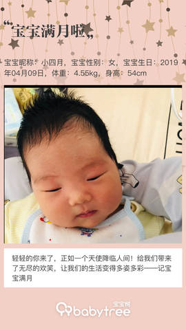 journal_insert_pic_1232853546